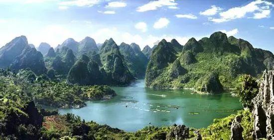 解答问题,尽在黄玫瑰代表什么意思?蜗牛问答平台