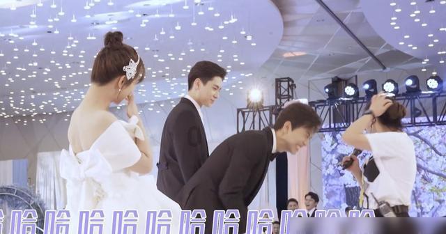照顾小兔宝宝